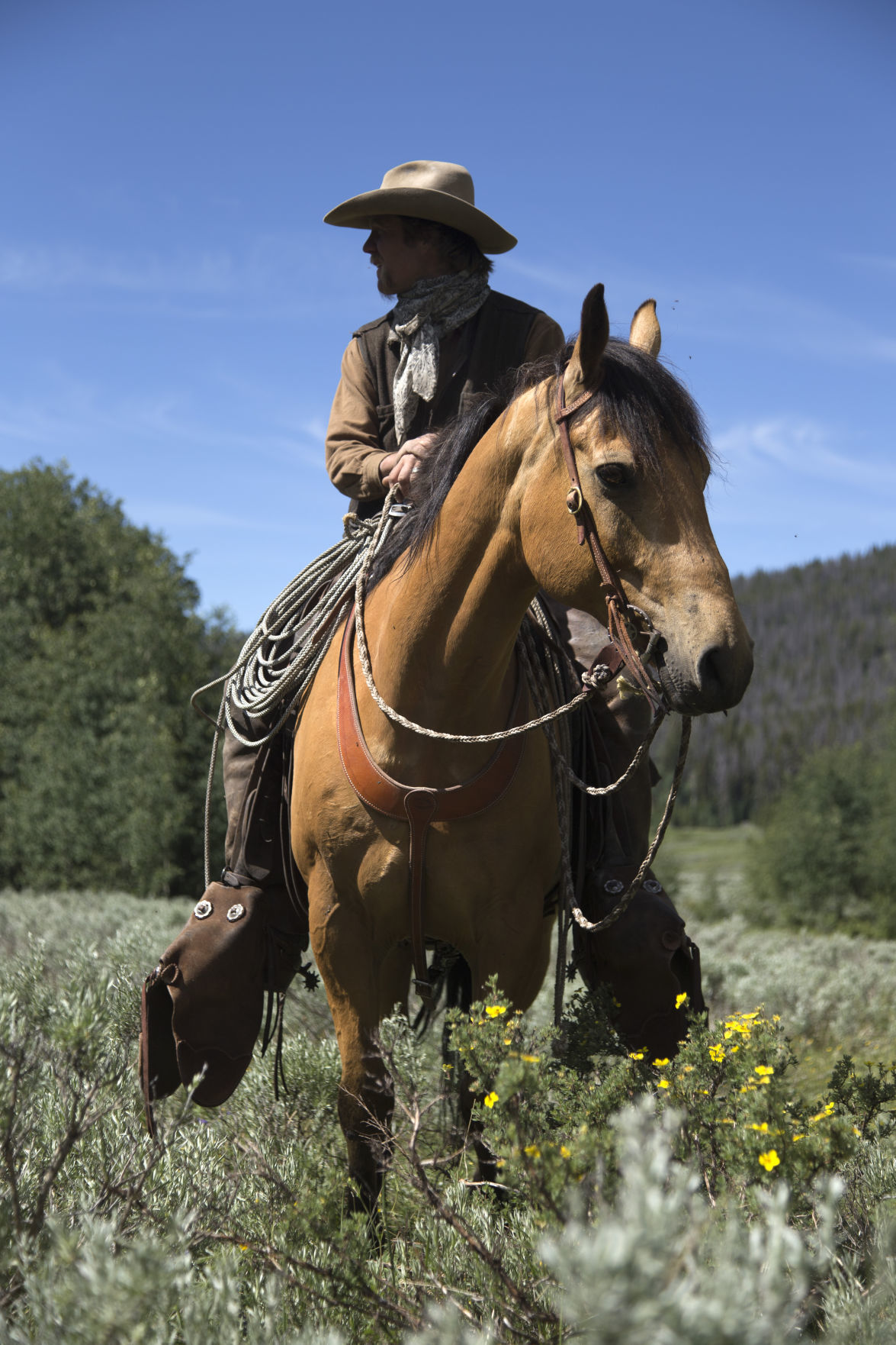 Upper Green grazing